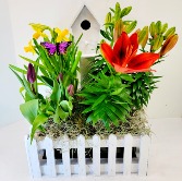 Spring Bulbs Picket Fence Planter 