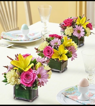 Spring Centerpiece Trio  in Croton On Hudson, NY | Cooke's Little Shoppe Of Flowers
