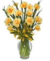 SPRING DAFFODILS Arrangement