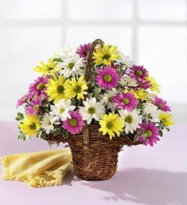 Spring Daisy Basket Arrangement