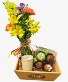 Spring Delight Gift Bundle Double "R" Exclusive 