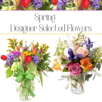 Spring-Designer’s Choice