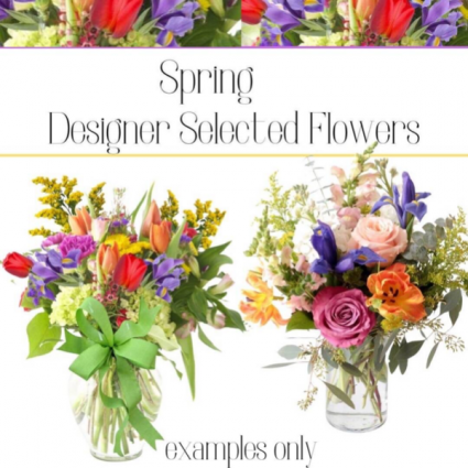 Spring-Designer’s Choice