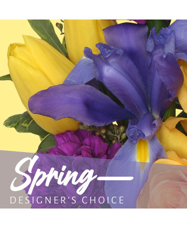 Spring Designer's Choice in Maysville, OK | Sunshine Flower Shop