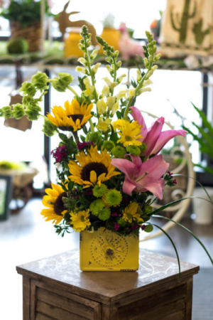 Spring Equinox