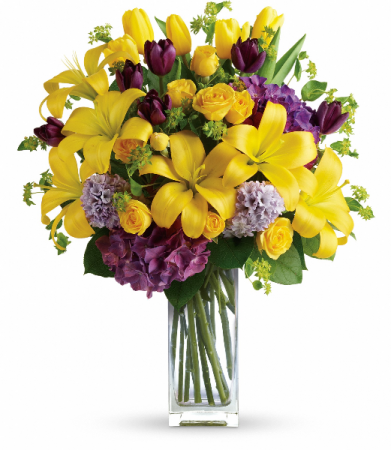 Spring Equinox H1481B