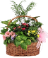 Spring European Blooming Basket 