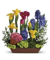 Spring Favorites Spring Fresh Mix