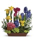 Spring Favorites Spring Fresh Mix