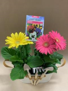 Spring Fling Garden Kit