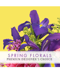 Spring Flowers Premium Designer's Choice