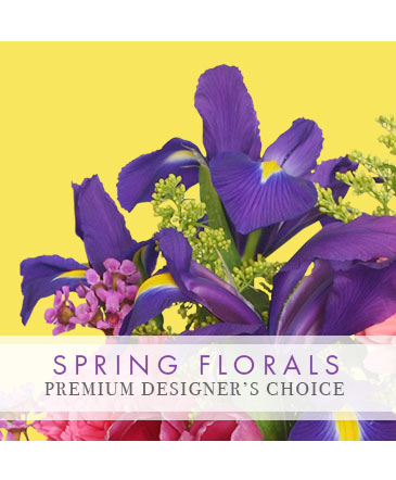 Spring Flowers Premium Designer's Choice in Oakes, ND | BK Floral