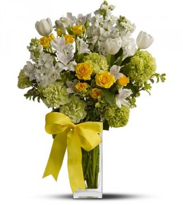 Spring For Joy HFWEB522