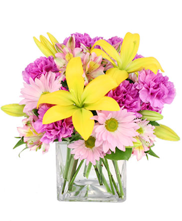 Spring Forward Arrangement in Jeffersonville, IN | Shelley's Florist & Gifts