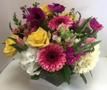 Spring Fun Cube vase in Northport, NY | Hengstenberg's Florist