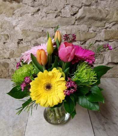 Spring Fusion