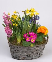 Spring Garden Basket 