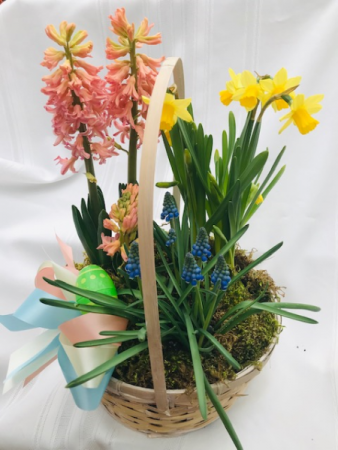 Spring Garden Basket Blooming Plant