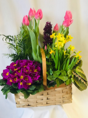 Spring Garden Basket Planter Basket in Coleman, WI | COLEMAN FLORAL & GREENHOUSES Spring Garden Basket Planter Basket in Coleman, WI | COLEMAN FLORAL & GREENHOUSES