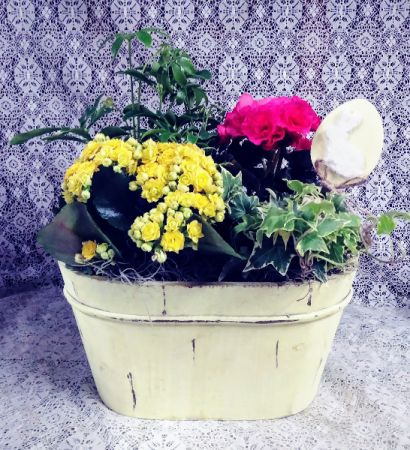 Spring Garden Blooming & Green Plants