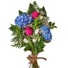 Category Image