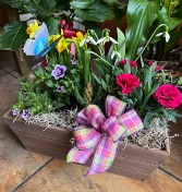 Spring Garden Box 