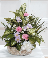 Spring Garden Funeral