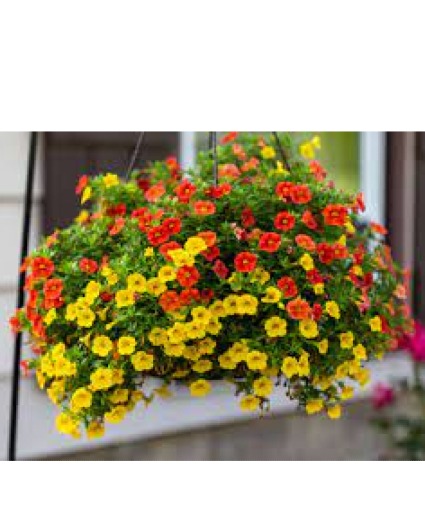 Spring Hanging Basket