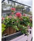 Purchase this funeral home arrangement