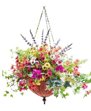 Spring Hanging Baskets - Available Soon 