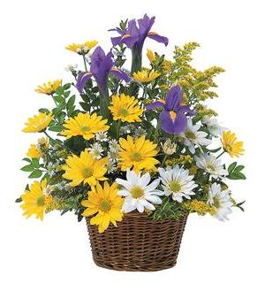 Spring has sprung basket Basket Arrangement