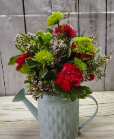 Spring has sprung Container