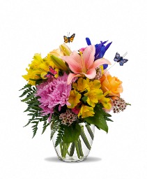 Spring Has Sprung fresh arrangement