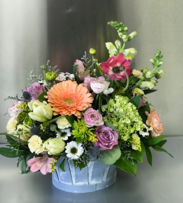 Spring in Bloom