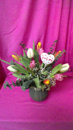 T10V Spring Time Arrangement of 10 mixed Tulips with Baby Breath and Eucalyptus