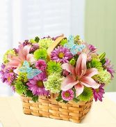 Spring Inspiring Basket Fresh Flowers