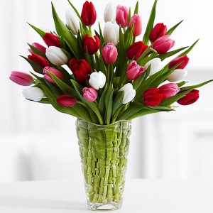 Spring Into Love