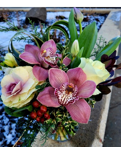 spring into orchids