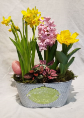 Spring is Here! Spring bulb planter