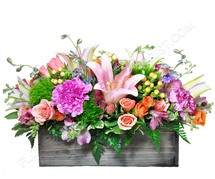 Beautiful Blossoms!