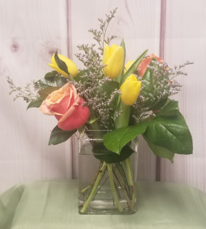 Spring Is In The Air 