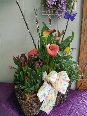 Spring is in the Air Blooming Plant Basket