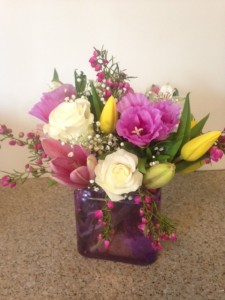 spring joy low & compact 