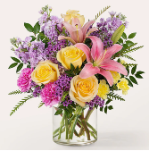 Spring Jubilee 