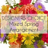 SPRING MIX - DESIGNERS CHOICE Vase Arrangement