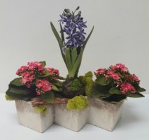 Spring Mix Modern Recidencial and Commercial