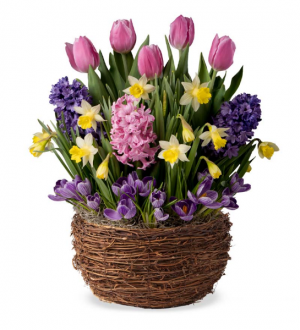Spring occasions in Oakville, ON | ANN'S FLOWER BOUTIQUE-Wedding & Event Florist Spring occasions in Oakville, ON | ANN'S FLOWER BOUTIQUE-Wedding & Event Florist