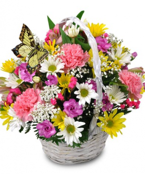 Spring of Love Basket 