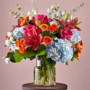 Spring of Love Every Day