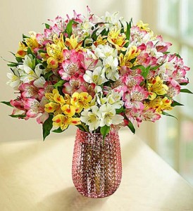 Spring Peruvian Lilies: 50-100 Blooms Fresh Arrangement